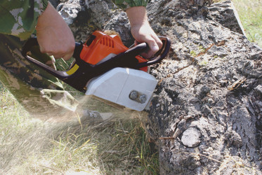 Similar image 133824