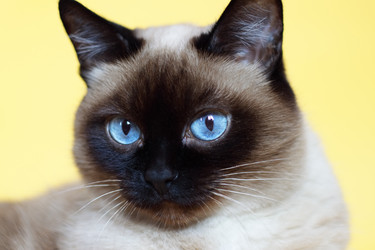 Similar image 133866