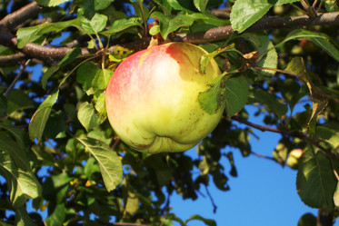 Similar image 133871