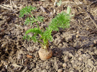 Similar image 134011