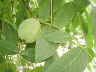 Similar image 134012