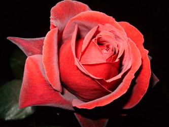 Similar image 134015