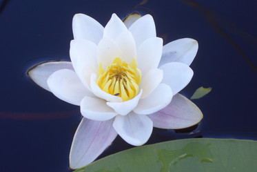 Similar image 134017