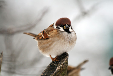 Similar image 134023