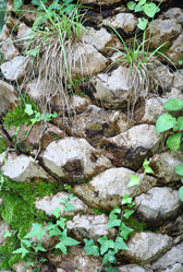 Similar image 134042