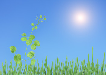 Similar image 134043