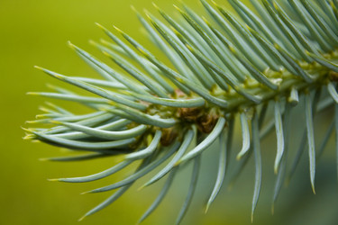 Similar image 134083