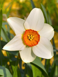 Similar image 134089