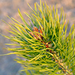 Similar image 134095