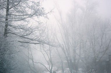 Similar image 134107