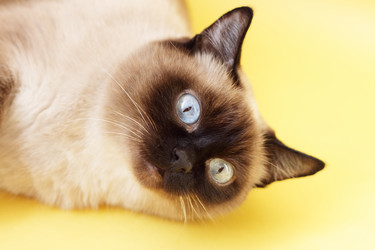 Similar image 134110