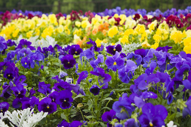 Similar image 134119