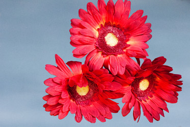 Similar image 134121