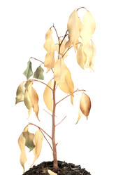 Similar image 134123