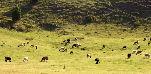 Similar image 134142