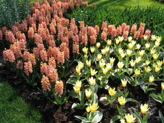 Similar image 134160