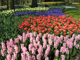 Similar image 134161