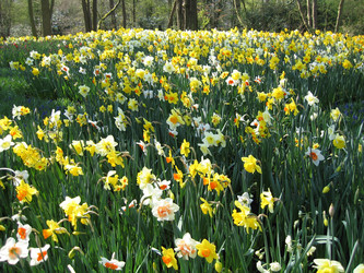 Similar image 134167