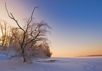 Similar image 134271