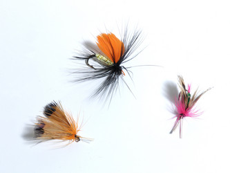 Similar image 134280