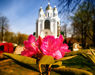 Similar image 134286