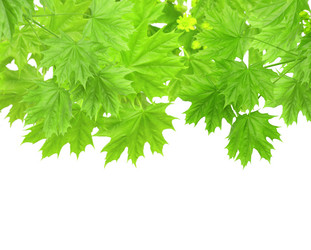 Similar image 134299