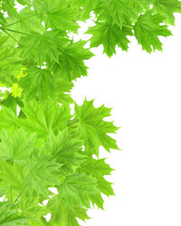 Similar image 134300