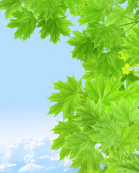 Similar image 134301