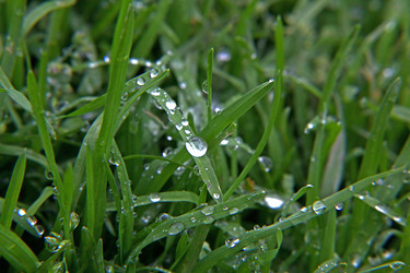 Similar image 134303