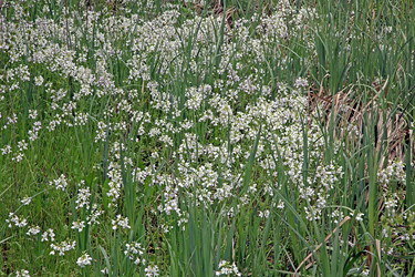 Similar image 134304