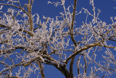 Similar image 134306