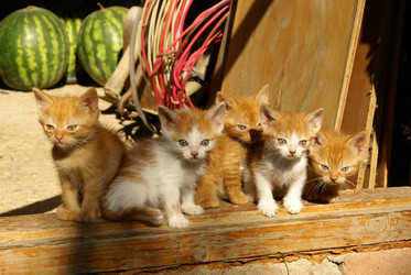 Similar image 134308