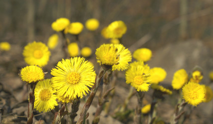 Similar image 134312