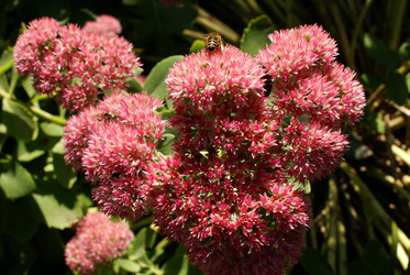 Similar image 134318