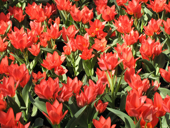 Similar image 134320