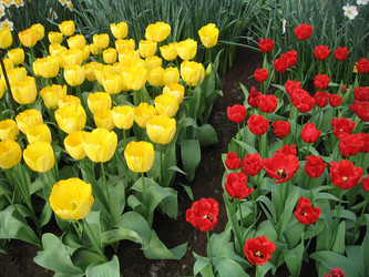 Similar image 134329