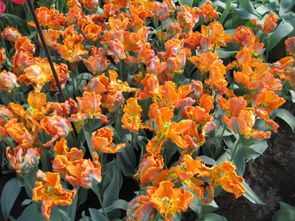 Similar image 134332