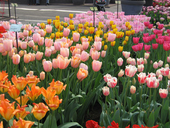 Similar image 134333