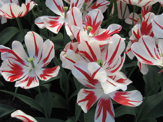 Similar image 134334