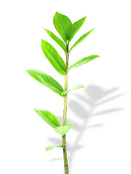 Similar image 134368