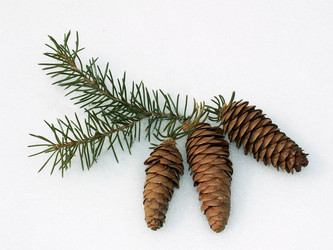 Similar image 134386