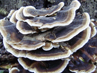 Similar image 134413