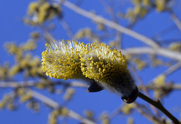 Similar image 134433