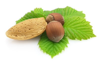 Similar image 134504