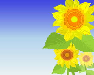 Similar image 134507