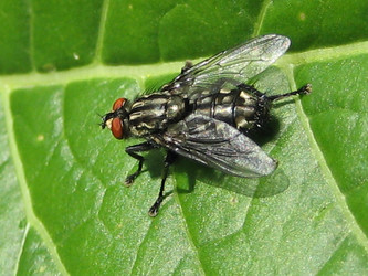 Similar image 134526