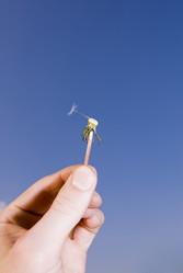 Similar image 134543