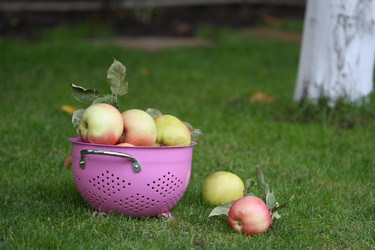 Similar image 134704