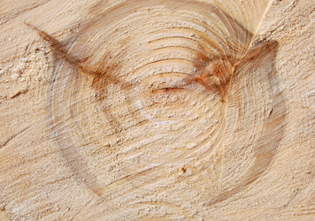 Similar image 134736