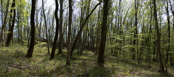 Similar image 134764